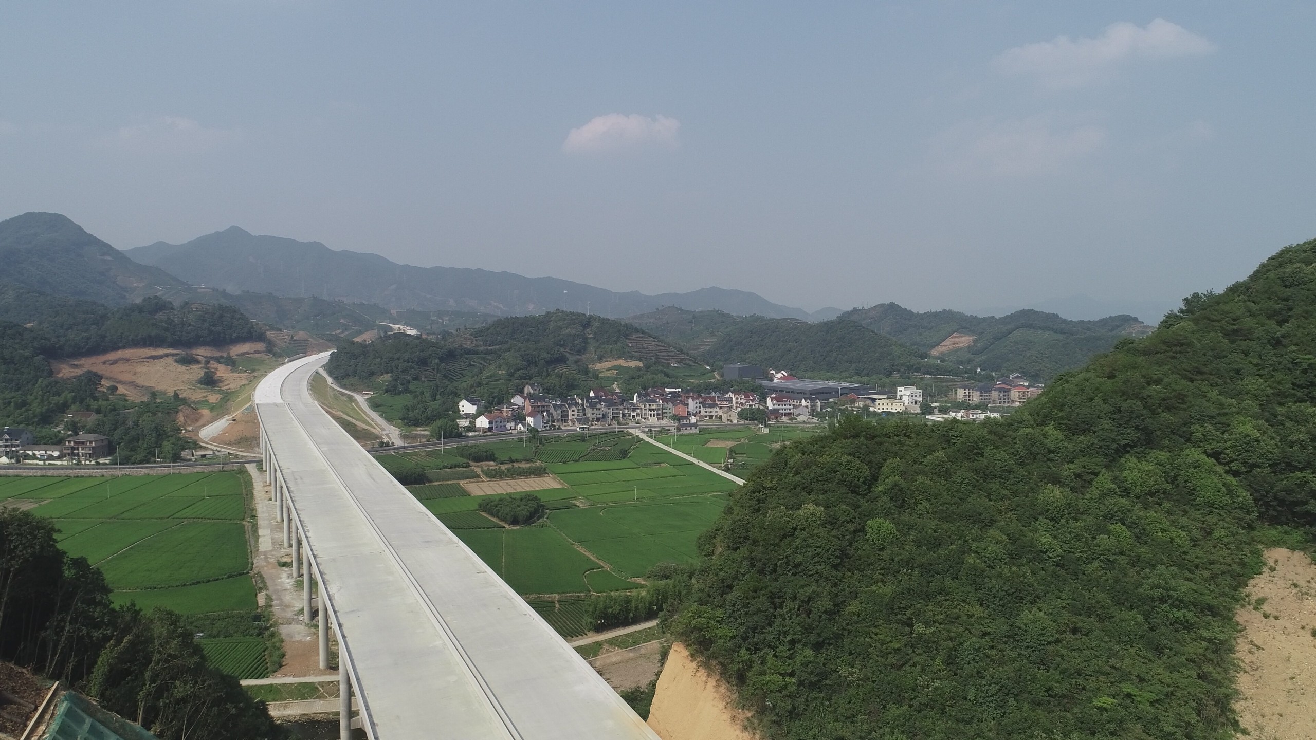 楊行 (2).jpg