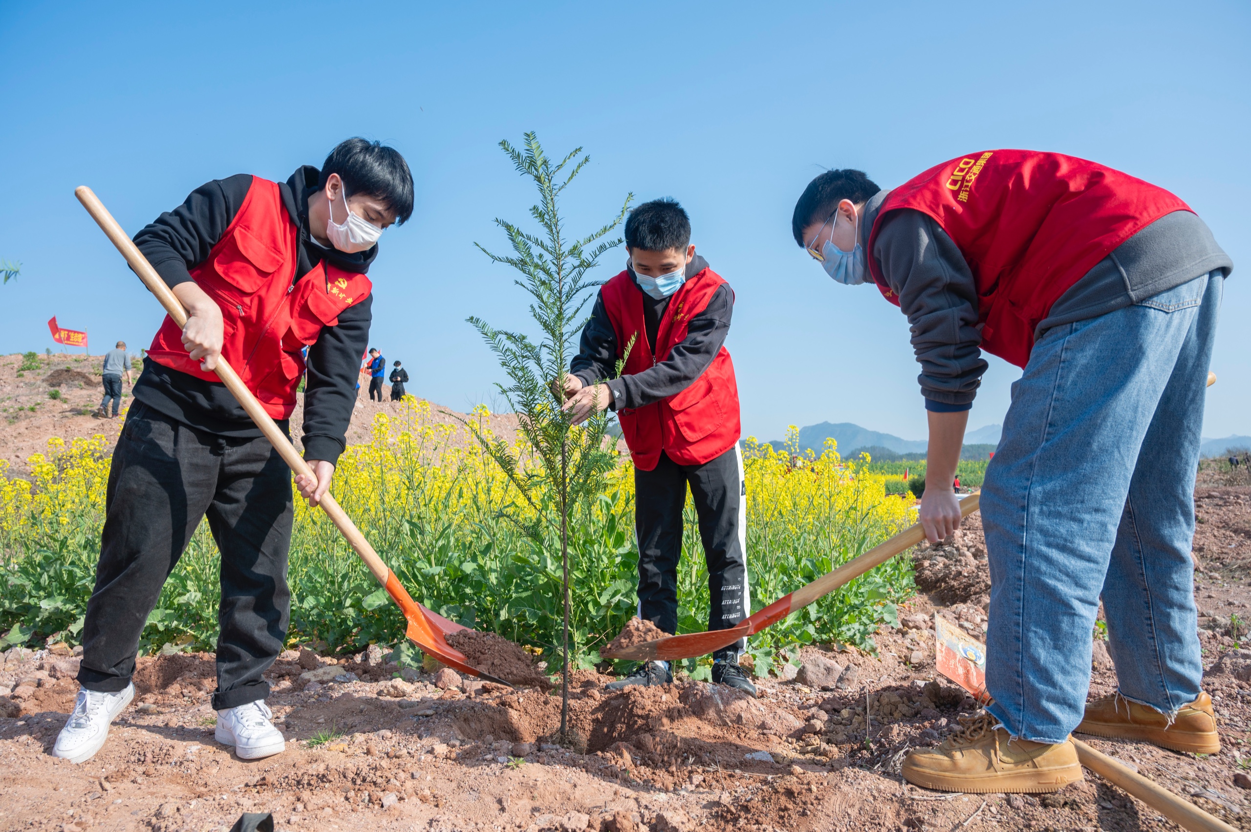 3.11浦江縣團委植樹節活動.JPG
