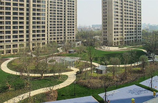 IMG_5993-1xiao.jpg