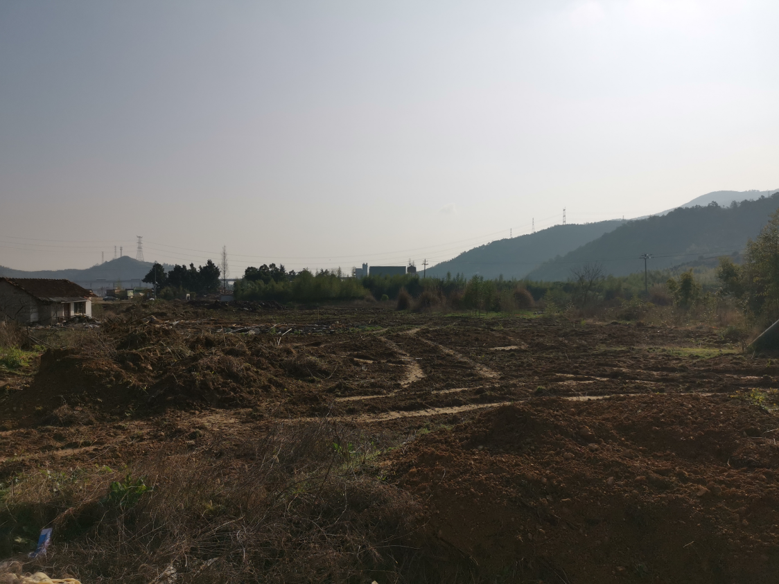 標頭路基清表.png