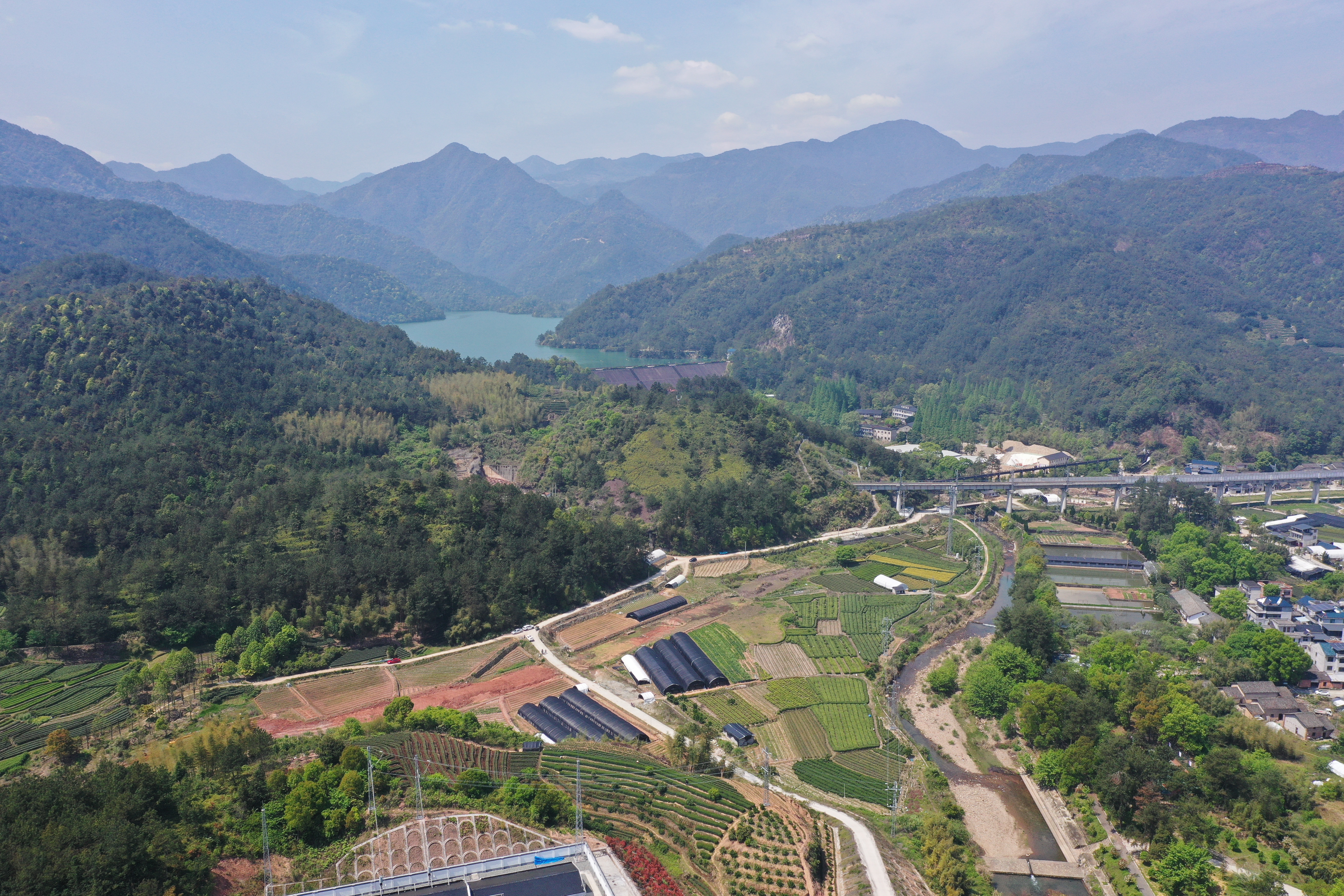 衢麗鐵路東塢水庫特大橋橋址 攝：王躍國.JPG